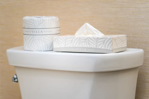 Eco-friendly toiletries, hair dryer, towels