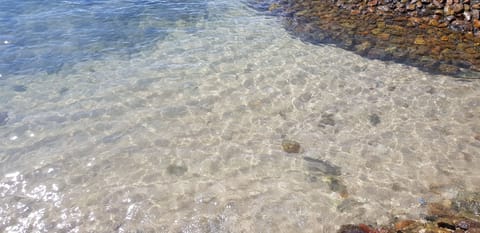 Private beach, kayaking