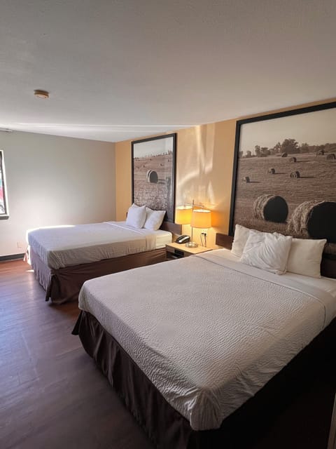 Standard Room, 2 Queen Beds | Desk, iron/ironing board, free cribs/infant beds, rollaway beds