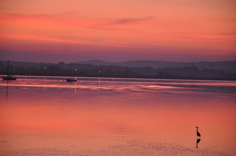 Bay of Youghal, just a four minute walk from Keane's Cottage and Carriage House.