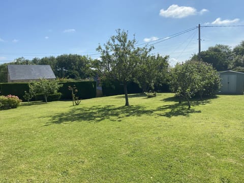 Tree, Grass, Shrub, Garden, Grassland, Land Lot, Lawn, Plain, Groundcover