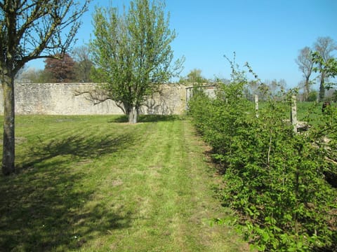 Plant, Sky, Plant Community, Tree, Natural Landscape, Land Lot, Grass, Shrub, Groundcover, Grassland