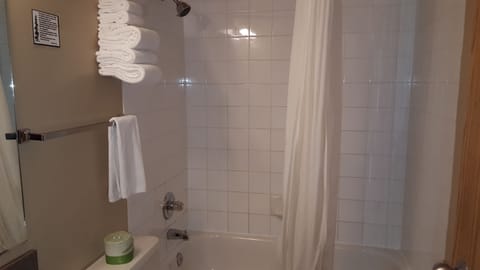 Combined shower/tub, free toiletries, hair dryer, towels