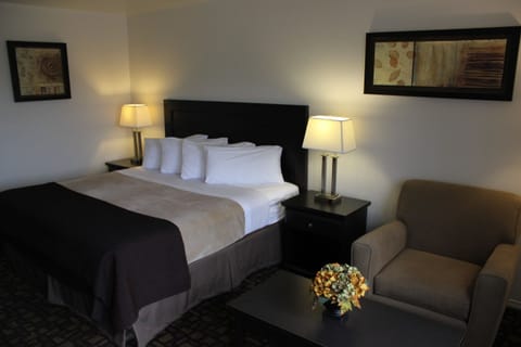 Business Room, 1 King Bed | In-room safe, desk, blackout drapes, iron/ironing board