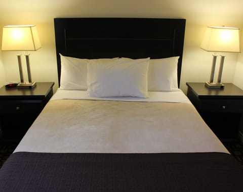 Basic Room, 1 Queen Bed, Ground Floor | In-room safe, desk, blackout drapes, iron/ironing board