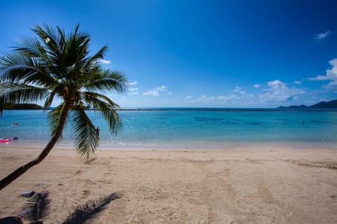 On the beach, white sand, beach bar, kayaking