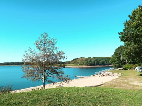 Water, Sky, Plant, Water Resources, Nature, Azure, Natural Landscape, Tree, Lake, Body Of Water