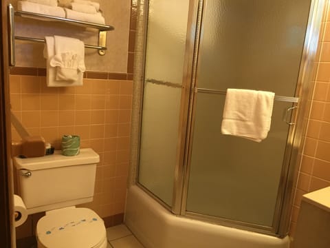 Combined shower/tub, hair dryer, towels