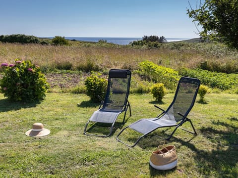 Plant, Sky, Furniture, Plant Community, Chair, Tree, Natural Landscape, Outdoor Furniture, Shade, Land Lot