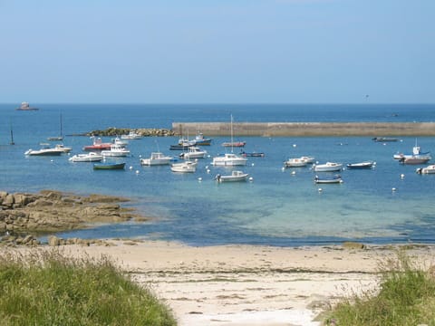 Sky, Building, Plant, Urban Design, Tower Block, Condominium, Real Estate, City, Facade, Commercial Building