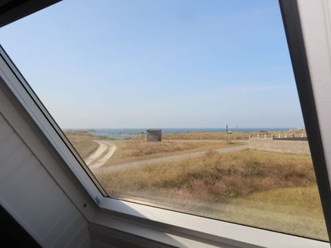 Sky, Plant, Mode Of Transport, Automotive Exterior, Vehicle Door, Window, Material Property, Vehicle, Glass, Tints And Shades