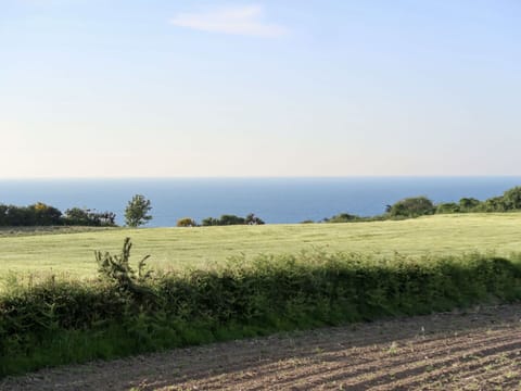 Field, Natural Landscape, Grassland, Sky, Plain, Land Lot, Natural Environment, Grass, Horizon, Prairie
