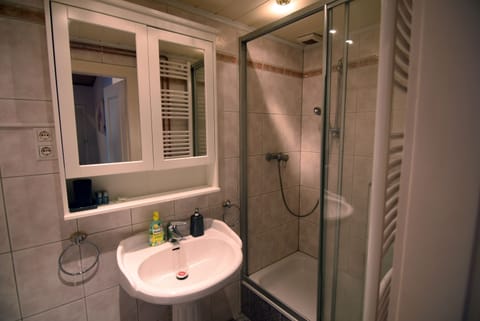 Business Apartment | Bathroom | Shower, hair dryer, towels, soap