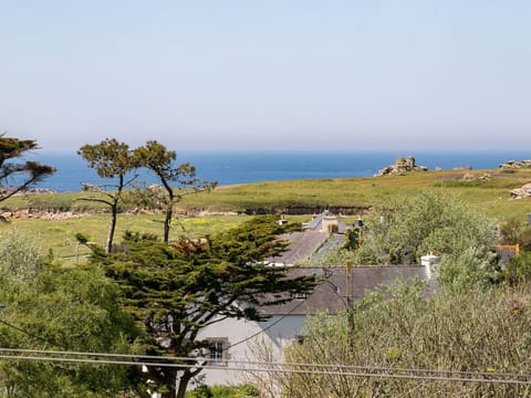 Grass, Vegetation, Shrub, Plant Community, Land Lot, Meadow, Ocean, Shrubland, Coast