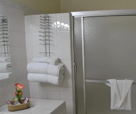 Combined shower/tub, hair dryer, towels