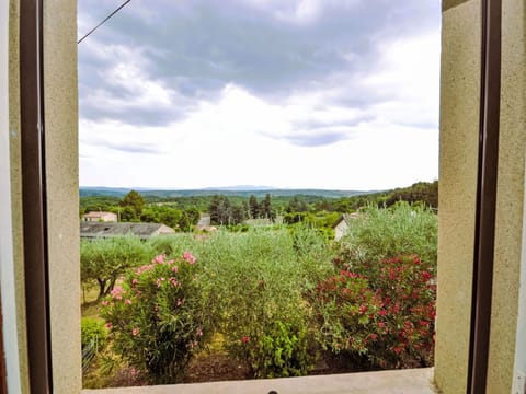 Vegetation, Shrub, Plant Community, Garden, Landscaping, Shrubland, Plantation, Botanical Garden, Chaparral