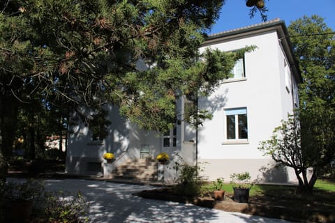 Property, House, Home, Building, Real Estate, Tree, Residential Area, Neighbourhood, Architecture, Estate