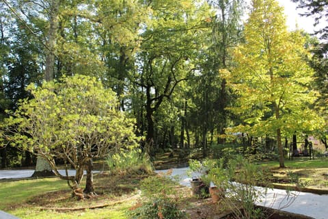 Tree, Natural Landscape, Nature, Property, Natural Environment, Nature Reserve, Woody Plant, Biome, Plant, Wilderness