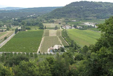 Plant, Sky, Tree, Natural Landscape, Land Lot, Highland, Mountain, Agriculture, Grassland, Grass