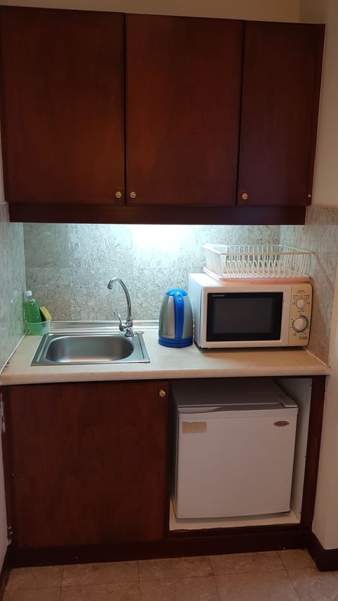 Superior Apartment | Private kitchen | Fridge, microwave, dishwasher, electric kettle