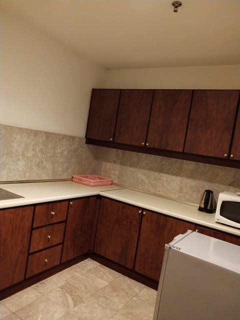 Family Apartment, 2 Bedrooms, City View | Private kitchen | Fridge, microwave, dishwasher, electric kettle