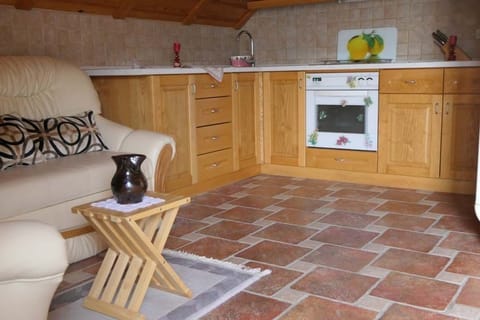 Apartment (Brunko 2) | Private kitchen | Electric kettle, cookware/dishes/utensils