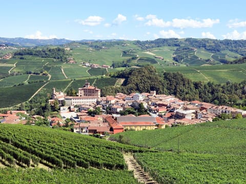 Water, Sky, Cloud, Water Resources, Azure, Tree, Natural Landscape, Beach, Coastal And Oceanic Landforms, Plant