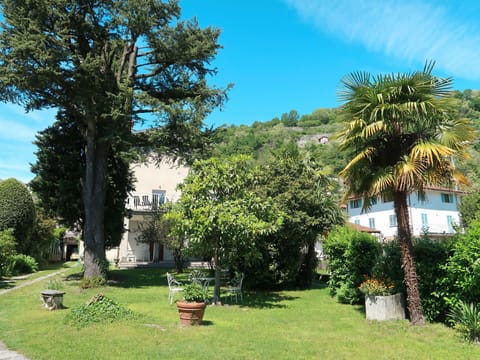 Tree, Property, Sky, Vegetation, House, Daytime, Grass, Real Estate, Botany, Home