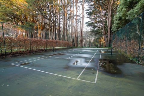 Tennis court