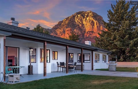 The back garden, evening light.