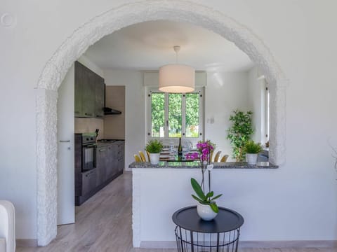 Plant, Property, Furniture, White, Flowerpot, Houseplant, Wood, Interior Design, Window, Floor