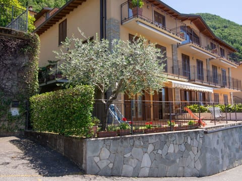 Plant, Building, Property, Window, House, Flower, Vegetation, Tree, Urban Design, Road Surface