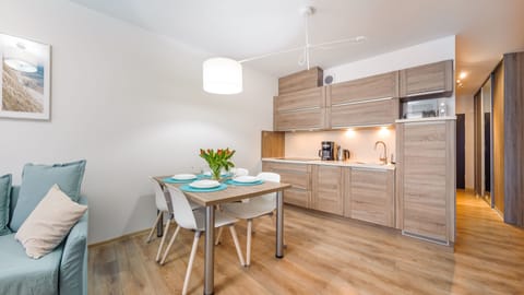 Apartment (D 101) | Private kitchenette | Full-size fridge, stovetop, electric kettle, cookware/dishes/utensils