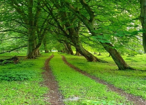 Apartment | View from property