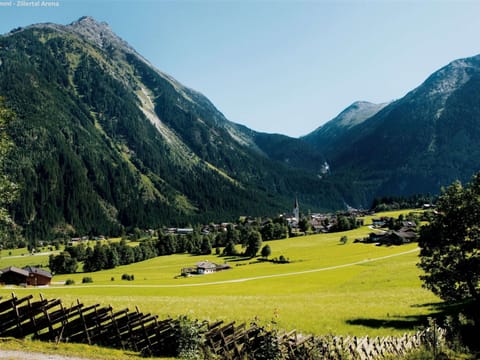 House | View from property