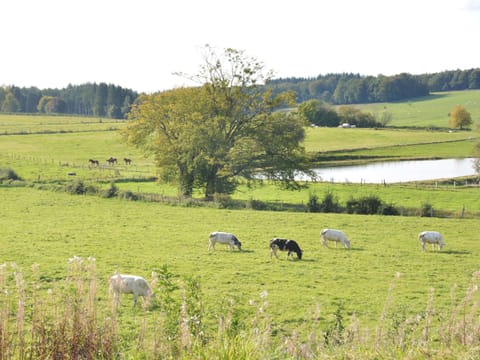 House | View from property