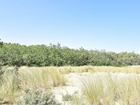 Apartment | View from property