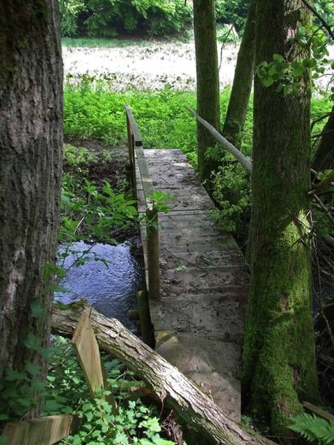 Apartment | View from property