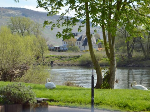 House | View from property