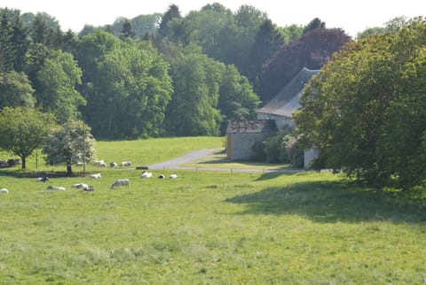 House | View from property