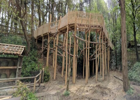 House | View from property