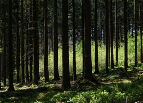 Cottage | View from property