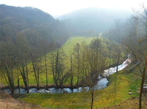 House | View from property