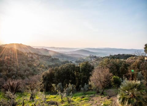 House | View from property