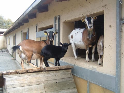House | Interior detail