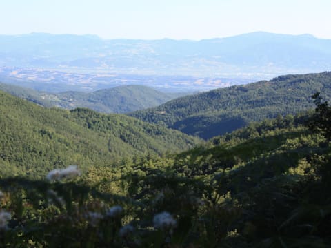 House | View from property