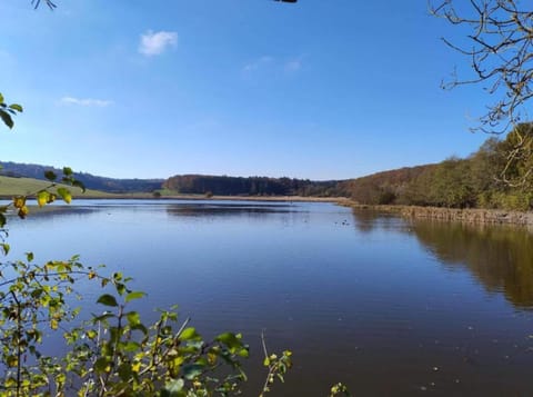 Apartment | View from property