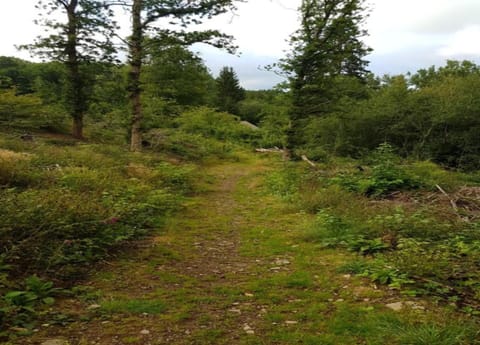 Apartment | View from property