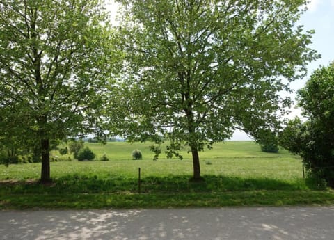 House | View from property