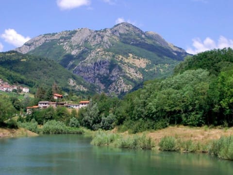 House | View from property